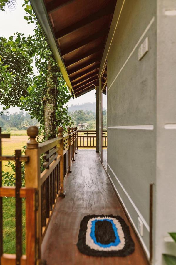 Rainforest Nest 데니야야 외부 사진