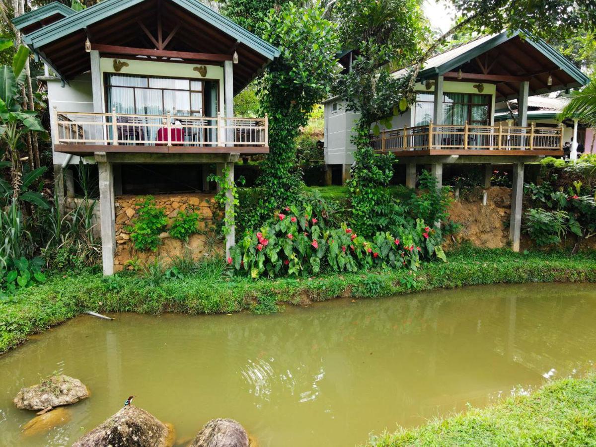 Rainforest Nest 데니야야 외부 사진