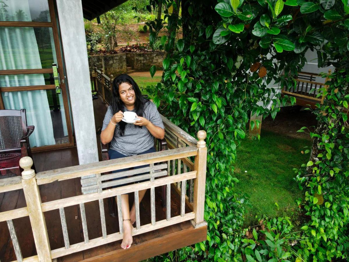 Rainforest Nest 데니야야 외부 사진