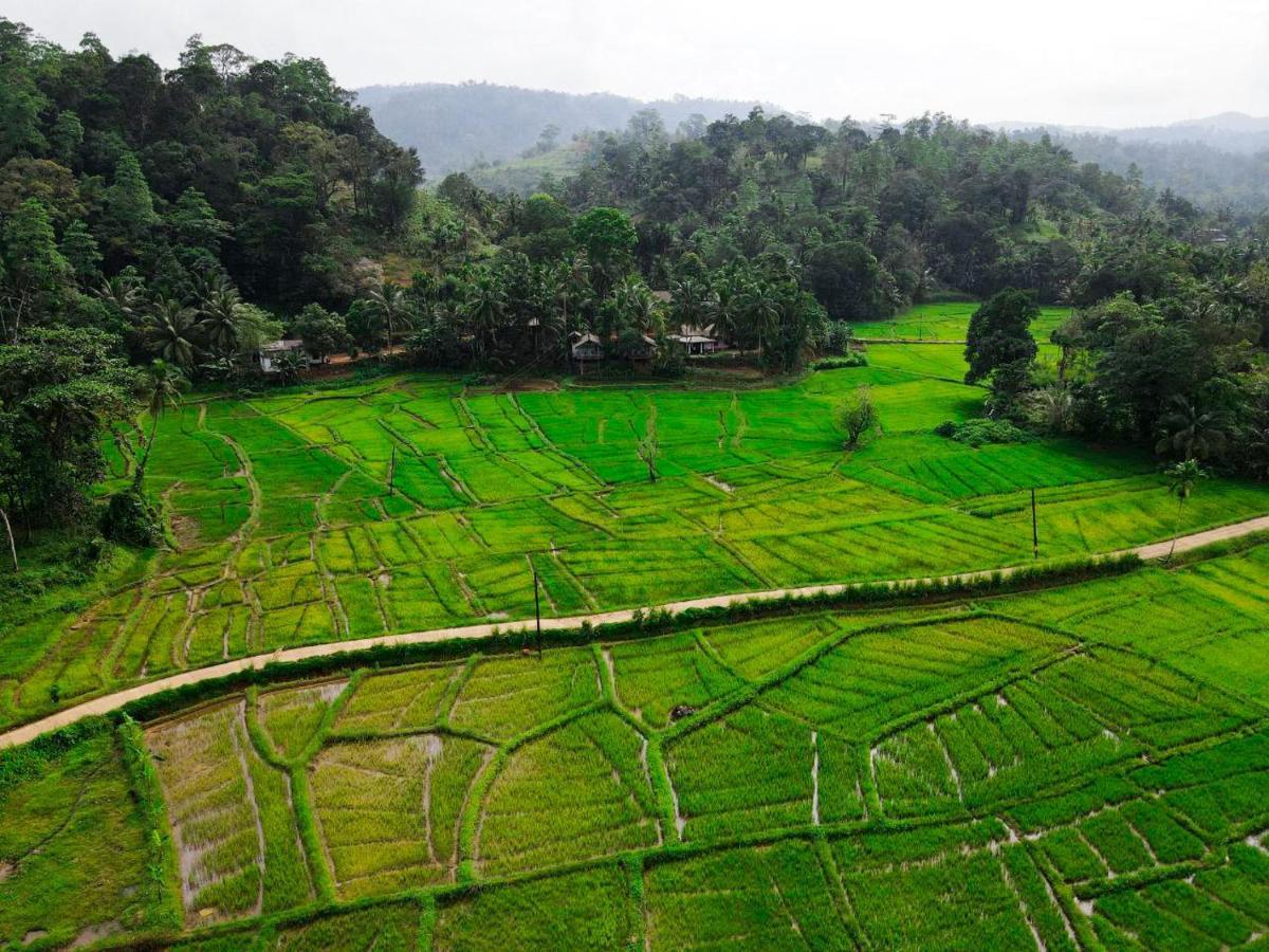 Rainforest Nest 데니야야 외부 사진